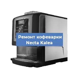 Замена дренажного клапана на кофемашине Necta Kalea в Санкт-Петербурге